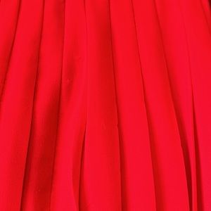 Ann Taylor pleated skirt